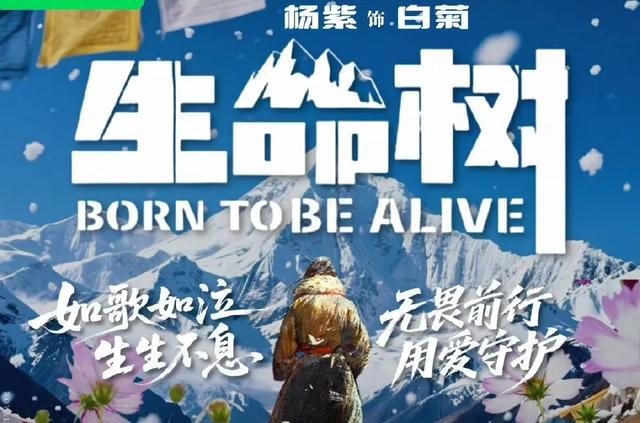 杨紫在生命树剧组