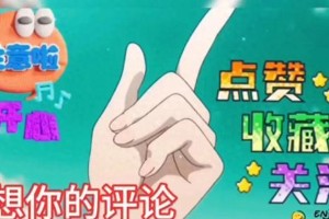 伊能静秦昊婚姻真相：独立共生打破传统