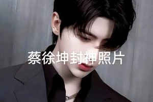 蔡徐坤粉丝造假洗白事件：饭圈乱象与真相扭曲