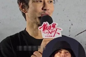 精选图片集锦：视觉盛宴一览