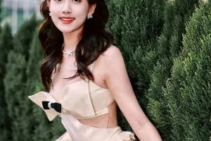 精美图片展示：精选视觉艺术