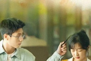 《烟火人家》大结局：陶大磊结局最意难平
