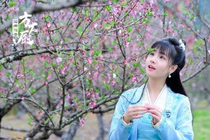 蒋佳恩消失之谜：从《花间提壶方大厨》到150万赔偿案