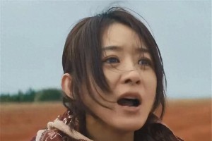 《浴火之路》：赵丽颖肖央打拐复仇爽片