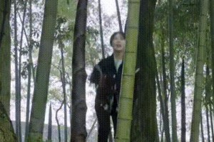 杨紫张艺兴《向往的生活》互动甜蜜引猜测