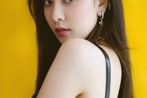 精选图片集锦：视觉盛宴